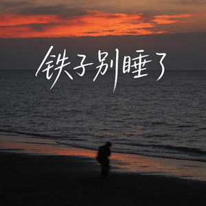 铁子别睡了 (烟嗓版)