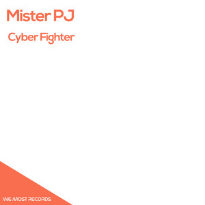 Cyber Fighter