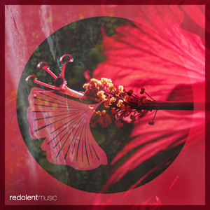 Prado's Revenge (Aaron Sevilla Extended Remix)