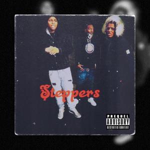 Steppers (Explicit)