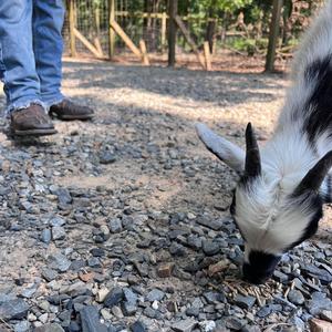 Country Role Model. (Explicit)