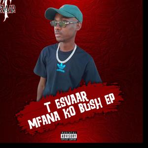 Mojolo (feat. Kst kabiba , Zeezy , kim karen & ok kabelo)