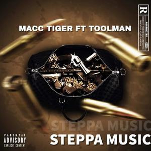 Steppa Music (Explicit)