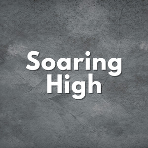 Soaring High