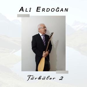 Türküler 2