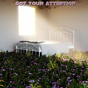 Got Your Attention (feat. Haley Heynderickx, Tilly Birds & Tommy Ice)