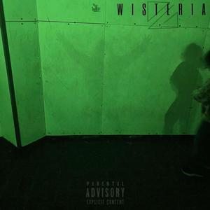 Wisteria (Explicit)