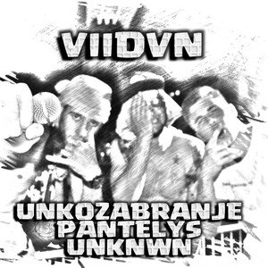 VIIDVN