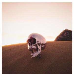 Filthy(feat. Foster*) (Explicit)