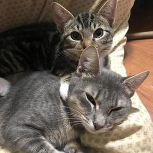 limerence (slowed + instrumental)