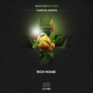 STD 101: V/A Techouse