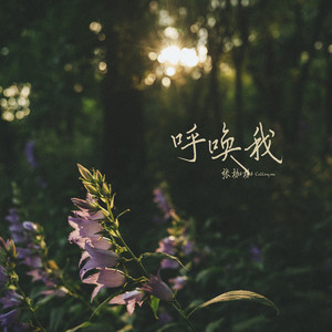 呼喚我