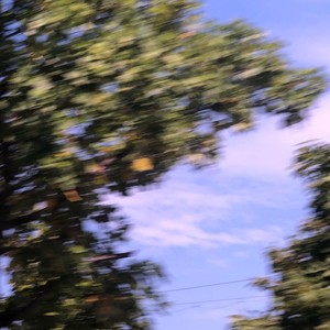 来去都是自由风 (感觉至上)