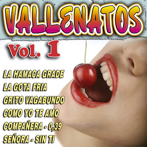 Vallenatos Vol.1