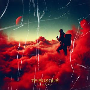 Te busqué