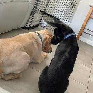 We Can’t Tell Dirty Secrets (Explicit)