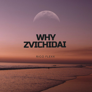 Ricoflexx Why Zvichidai