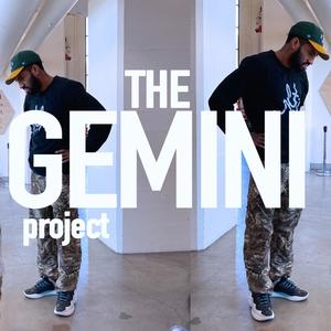 The Gemini Project