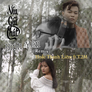 Níu Giữ Chút Bình Yên (Remix)