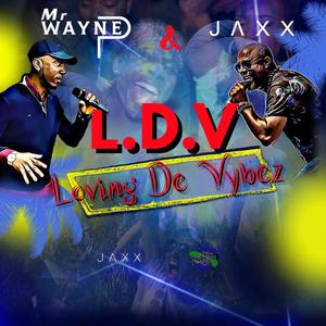 Loving De Vybez (feat. JAXX)