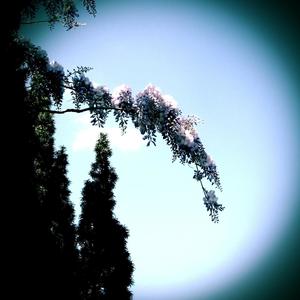 Not Quite A Lullaby (SMS)