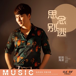 思念别逃 (伴奏)