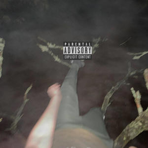 B4 Our Fame (feat. $car, wthsam, 00Moxie, Pillowww, Tx & D-WIZZY) (Explicit)