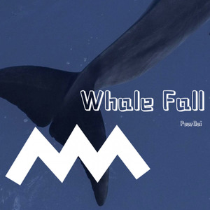 Whale Fall