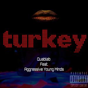 Turkey (feat. Aggressive Young Minds) (Explicit)