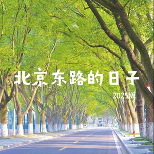 北京东路的日子 (2025版)