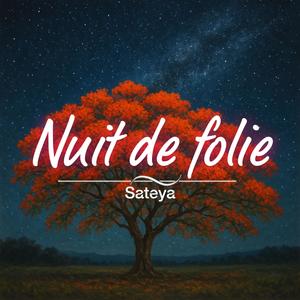 Nuit de folie