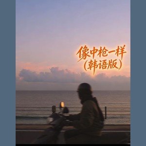 像中枪一样 (韩语版)