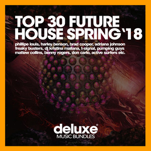 Top 30 Future House (Spring '18)