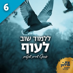 ללמוד שוב לעוף 6 (אוסף שירים שקטים)