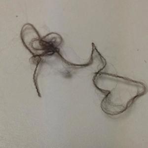 Step Up Or Step Down (feat. King Merlino)