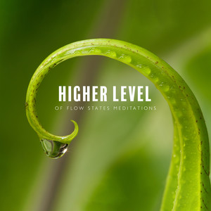 Higher Level of Flow States Meditations