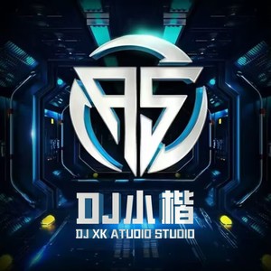 心要让你听见 (Remix|DJ魔怔版)