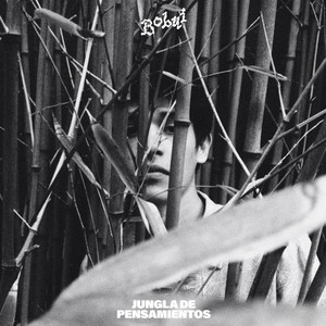 Jungla de Pensamientos