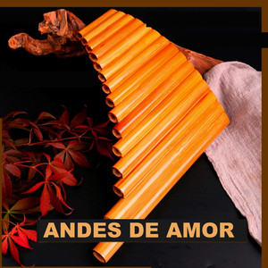 Andes de amor