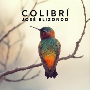 Colibrí