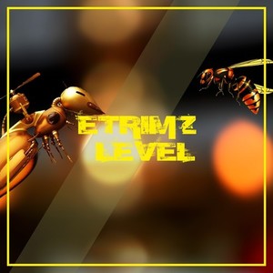 Level