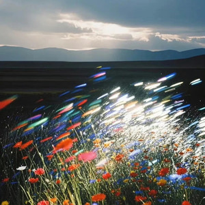 爱情不转移 (说唱版)