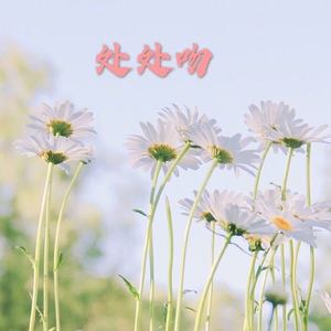 多想在平庸的生活拥抱你