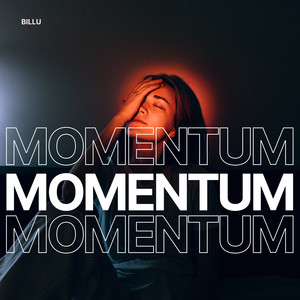 Momentum for the Sky