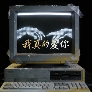 我真的爱你 (句句不轻易)