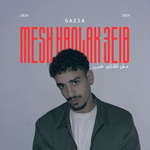 مش هقولك عيب