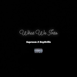 What We Into (feat. DayDrilla) [Explicit]