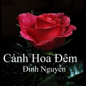 Cánh Hoa Đêm