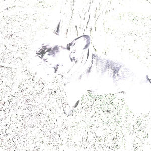 Nincs Visszaút (feat. Tigris) (Explicit)