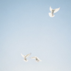 Let Everything That Has Breath (Live)